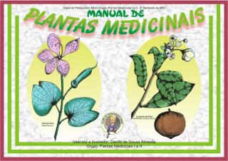 Manual de Plantas Medicinais.pdf