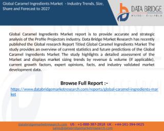 Caramel Ingredients Market.pptx