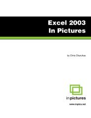 Excel2003InPicturesS.pdf