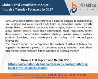 Ethyl Levulinate Market Size, insight to Witness High Growth in Near Future 2027 By Top Manufactures Oakwood Products, Inc., Tokyo Chemical Industry Co., Ltd., Alfa Aesar.pptx